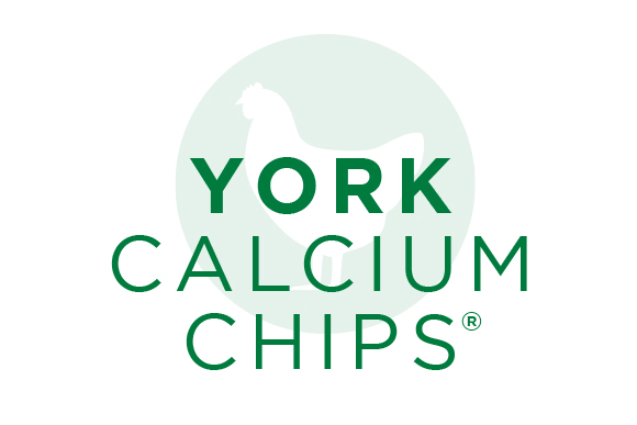 York Calcium Chips, build a superior eggshell