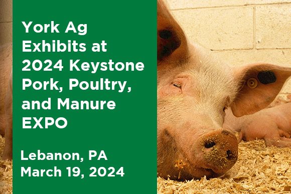 York Ag exhibits at 2024 PennAg's Keystone Pork, Poultry, and Manure EXPO News Thumbnail.jpg