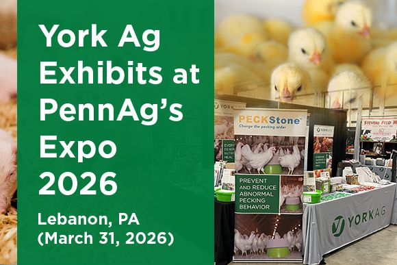York Ag Exhibits at PennAg's Expo 2026.news.jpg