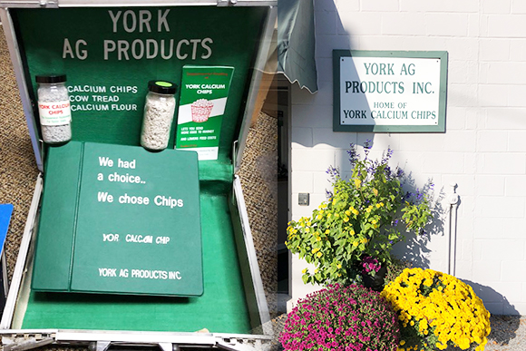 York Ag Story