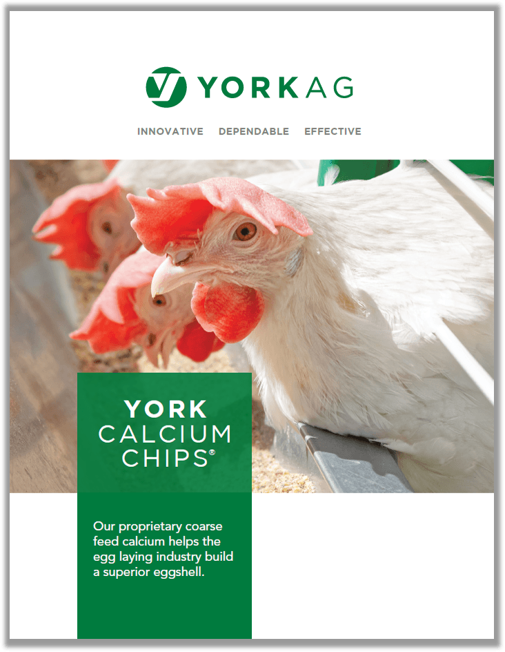 Brochure cover of YORK Calcium Chips