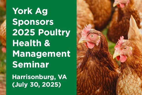 York Ag Sponsors 2025 Poultry Health & Management Seminar in Virginia News.jpg
