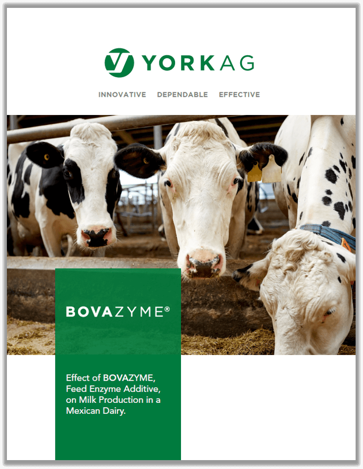 BOVAZYME Trial in Mexican Dairy Facility Brochure Cover