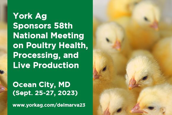 York Ag 2023 Delmarva Chicken Association Poultry Conference News Thumbnail.jpg