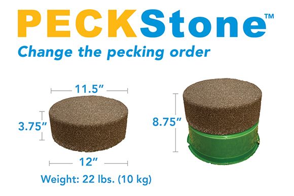 PECKStone measurements and weight details