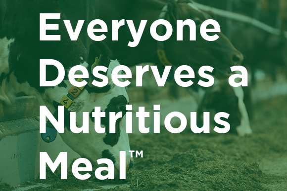 Everyone Deserves a Nutritious Meal slogan and dairy cows in background