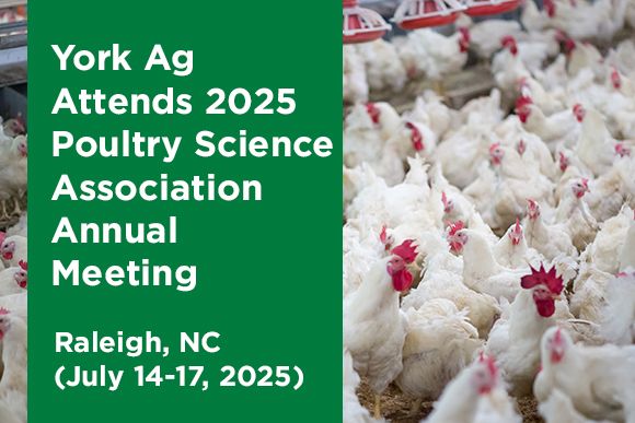 York Ag Attends 2025 Poultry Science Association Annual Meeting News Thumbnail.jpg