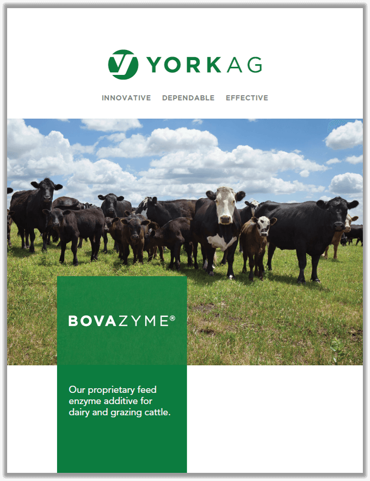 Brochure cover of York Ag BOVAZYME, feed enzymes .