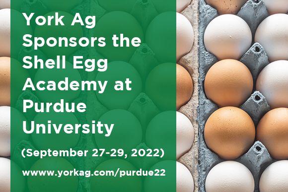 York Ag Sponsors 2022 Shell Egg Academy at Purdue University News Thumbnail.jpg