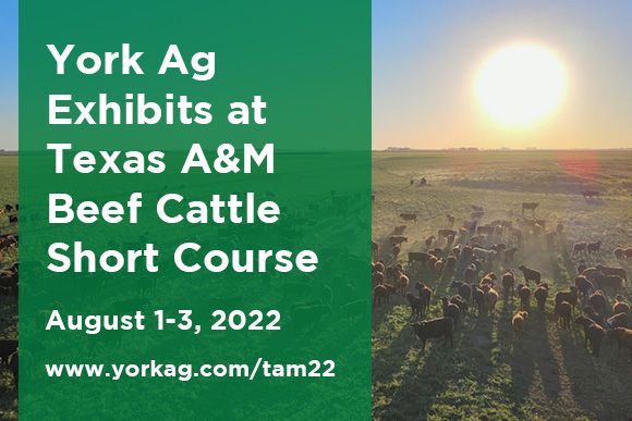 York Ag Exhibits at 2022 Texas A&M Beef Cattle Short Course News Thumbnail.jpg