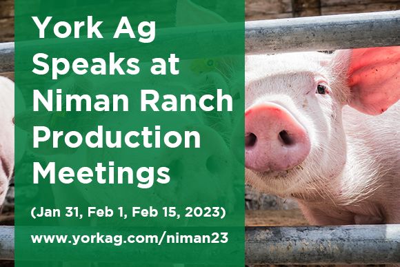 York Ag Speaks at Niman Ranch Meetings 2023 News Thumbnail.jpg