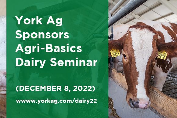 York Ag Sponsors 2022 Agri-Basics Dairy News Release Thumbnail.jpg