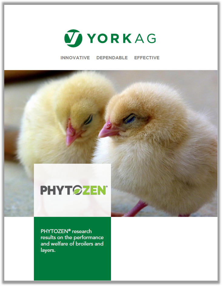 PHYTOZEN Broilers and Layers Research Brochure