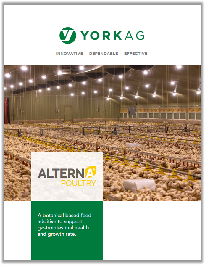 York Ag Alterna Poultry Brochure Cover