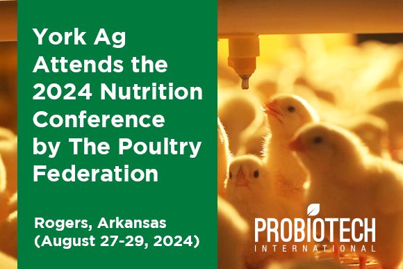 York Ag Attends The 2024 Nutrition Conference by The Poultry Federation Video Thumbnail.jpg