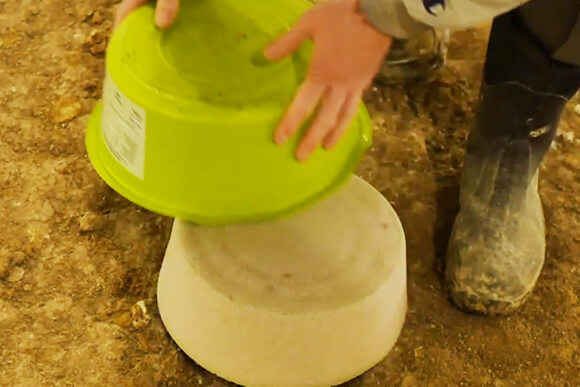 Farmer removing green container of a PECKStone pecking block