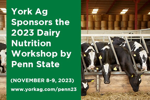 York Ag Sponsors the 2023 Dairy Cattle Nutrition Workshop by Penn State News Thumbnail.jpg