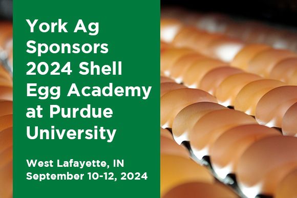 York Ag Sponsors 2024 Shell Egg Academy at Purdue University News Thumbnail.jpg