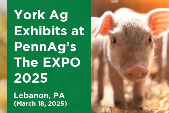 York Ag Exhibits at PennAg's The Expo 2025 News Thumbnail.jpg