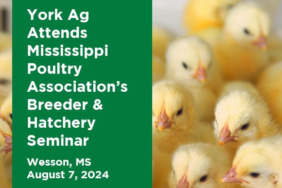 York Ag Attends Mississippi Poultry Association's Breeder and Hatchery Seminar 2024 News Thumbnail.jpg