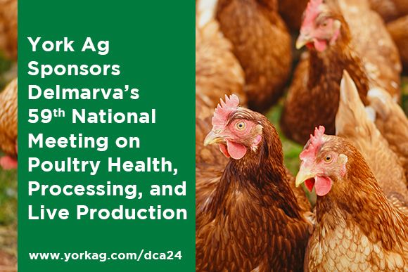 York Ag Sponsors Delmarva's 59th National Meeting on Poultry Health News Thumbnail.jpg