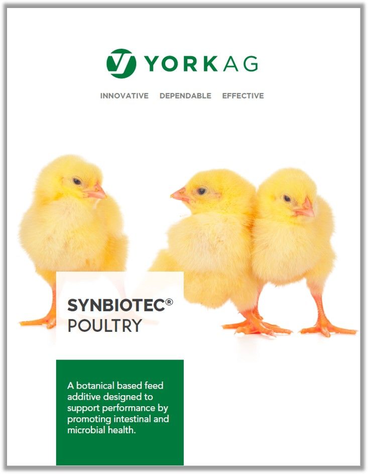 York Ag Synbiotec Poultry Brochure Thumbnail