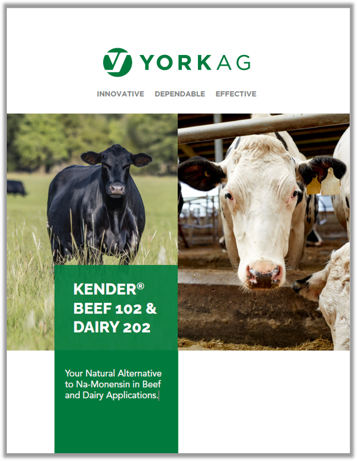 Kender Beef 102 and Dairy 202 Brochure Thumbnail