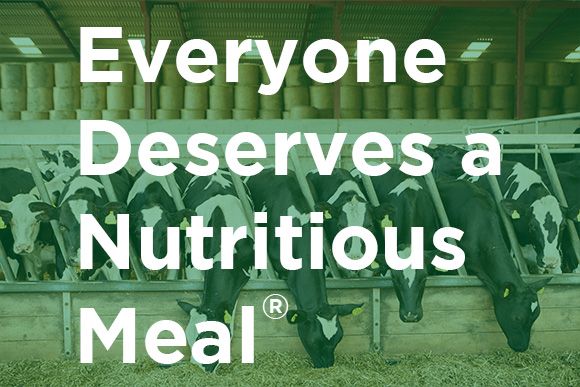 Everyone Deserves a Nutritious Meal slogan and dairy cows in background