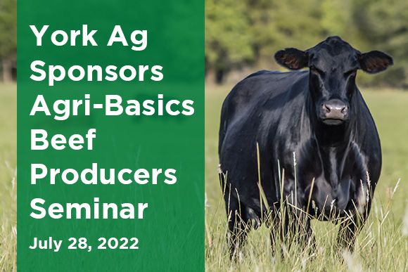 York Ag Sponsors 2022 Agri-basics Beef Producers Seminar Thumbnail 2.jpg