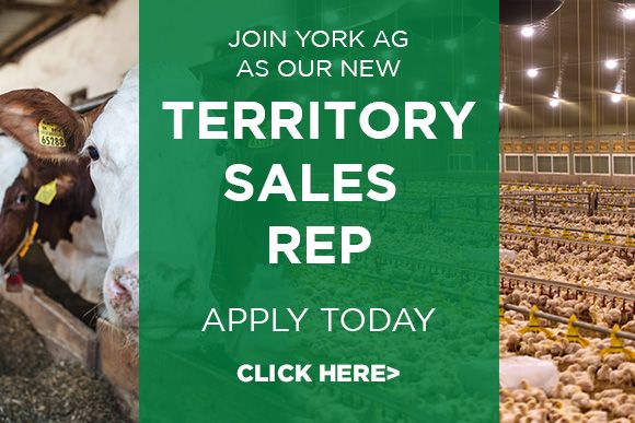 Apply for the new Territory Sales Representative Job
