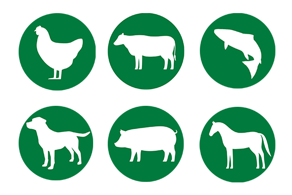 Green Background Badges of Multiple Animal Species