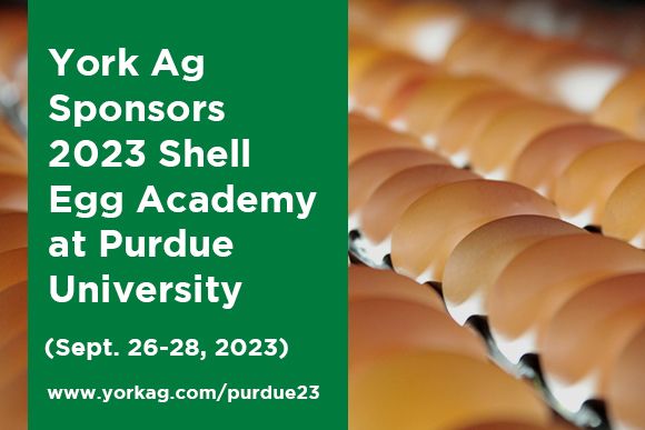 York Ag Sponsors 2023 Shell Egg Academy at Purdue University News Thumbnail.jpg
