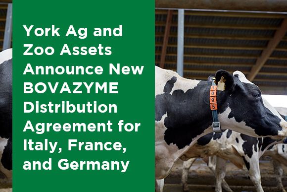 York Ag and Zoo Assets Announce New Distribution agreement for Italy France and Germany News Thumbnail.jpg