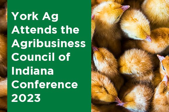 York Ag Attends the Agribusiness Council of Indiana Conference 2023 News Thumbnail.jpg