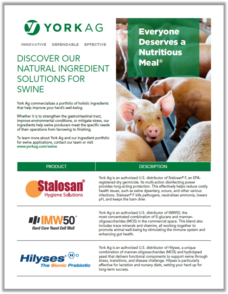 York Ag Swine Holistic Solutions Thumbnail