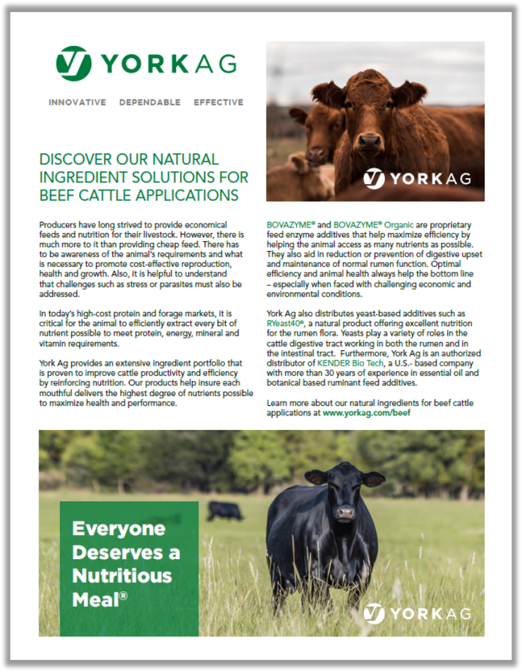 York Ag Beef Holistic Solutions Thumbnail