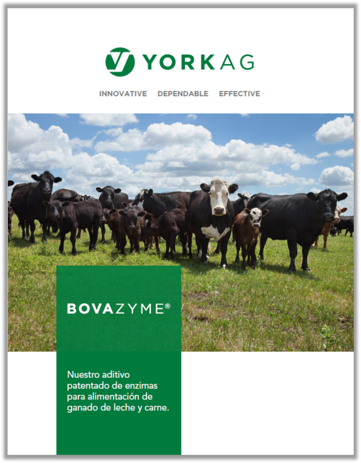 Brochure cover of York Ag BOVAZYME, feed enzymes .