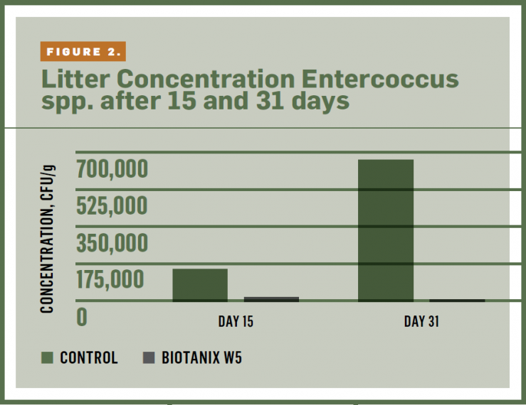 LItter Concentration Entercoccus