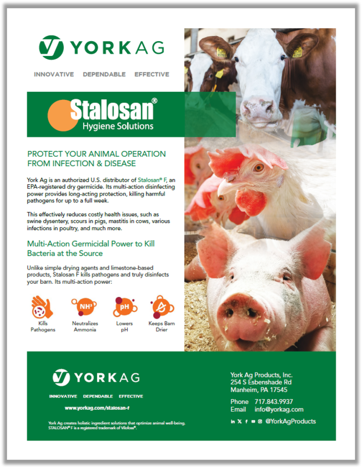 York Stalosan F Hygiene Solutions York Stalosan F Hygiene Solutions Thumbnail