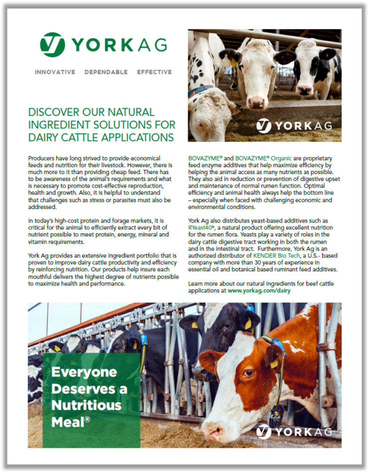 York Ag Dairy Holistic Solutions Thumbnail