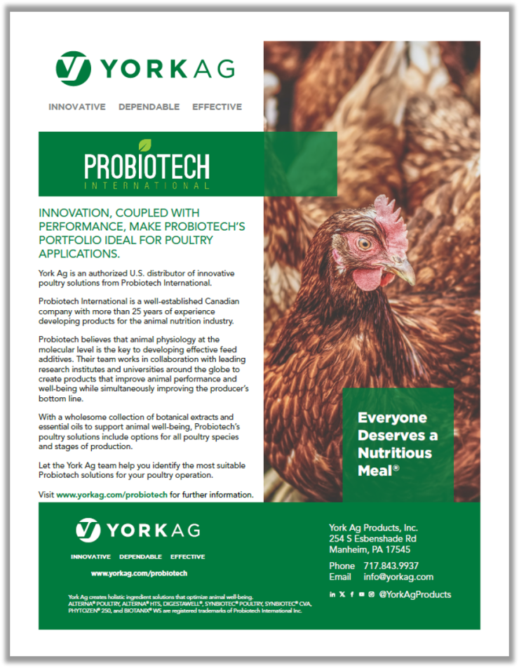 York Ag Probiotech Poultry Solutions York Ag Probiotech Poultry Solutions Thumbnail